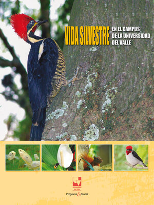 cover image of Vida silvestre